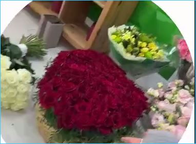 Элина Рахимова завалена цветами от поклонника, который хочет появиться на Доме 2 Элина Рахимова завалена цветами от поклонника, который хочет появиться на Доме 2