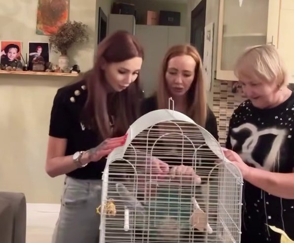 Клавдия Безверхова переехала от Романа Шкуро к своей маме и бабушке Клавдия Безверхова переехала от Романа Шкуро к своей маме и бабушке