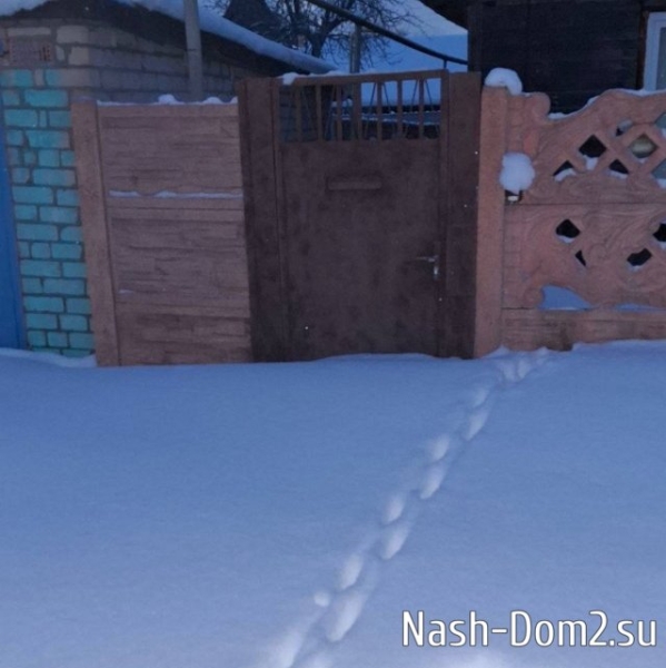 Вероника Гракович с молодым кавалером опять уехала в Беларусь Вероника Гракович с молодым кавалером опять уехала в Беларусь