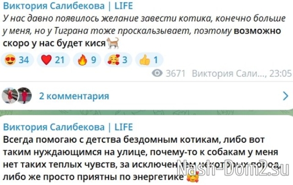Виктория Салибекова задумалась о домашнем питомце Виктория Салибекова задумалась о домашнем питомце