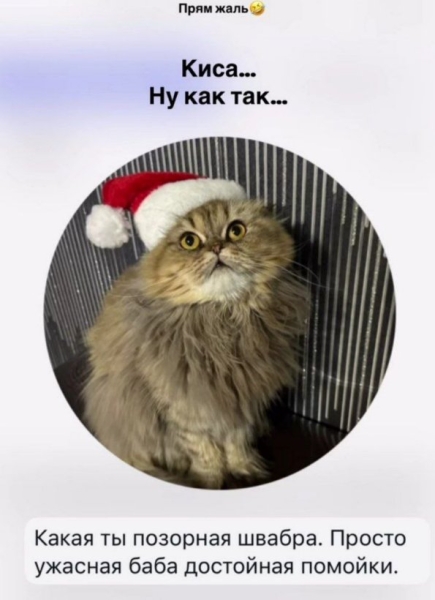 Елена Тепловодская не нравится хорошим женам и анонимным зрителям Елена Тепловодская не нравится хорошим женам и анонимным зрителям