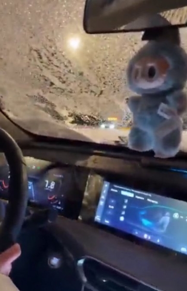 Элина Рахимова опустошена, но не разбита Элина Рахимова опустошена, но не разбита