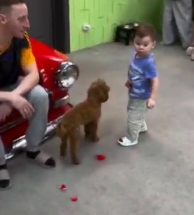 Тигран Салибеков рад, что у его сына появятся на Доме 2 маленькие друзья Тигран Салибеков рад, что у его сына появятся на Доме 2 маленькие друзья