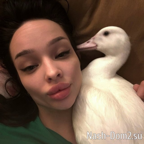 Соня Гриневская «перешла дорогу» Элине Рахимовой Соня Гриневская «перешла дорогу» Элине Рахимовой