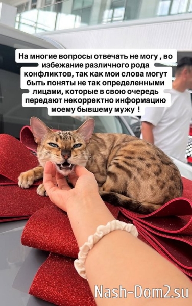 Виктория Чуева: Общаемся как взрослые люди! Виктория Чуева: Общаемся как взрослые люди!