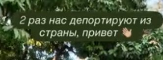 Анастасия Ромашова рассказала, почему их с мужем Евгением депортировали из Вьетнама Анастасия Ромашова рассказала, почему их с мужем Евгением депортировали из Вьетнама