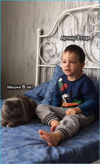 Дарья Пынзарь рассказала о кошке Мышане, с которой выросли её сыновья Дарья Пынзарь рассказала о кошке Мышане, с которой выросли её сыновья