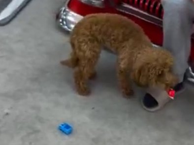 Игорь Григорьев попрощался с Тиграном Салибековым и уходит с проекта Игорь Григорьев попрощался с Тиграном Салибековым и уходит с проекта