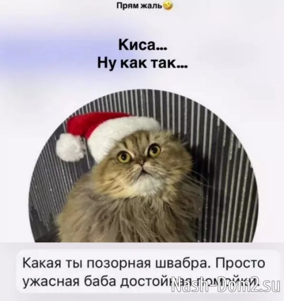 Елена Тепловодская отбивается от многочисленных хейтеров Елена Тепловодская отбивается от многочисленных хейтеров