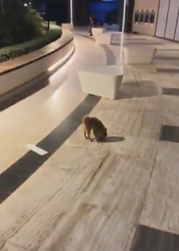 Сергей Хорошев опроверг слухи о том, что его содержит жена Сергей Хорошев опроверг слухи о том, что его содержит жена