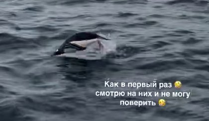 Виктория Романец поделилась кадрами из путешествия в Антарктиду Виктория Романец поделилась кадрами из путешествия в Антарктиду