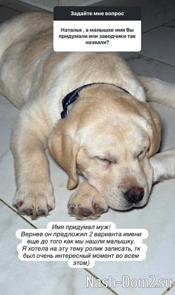 Подписчицы достают Наталью Варвину вопросами о детях Подписчицы достают Наталью Варвину вопросами о детях