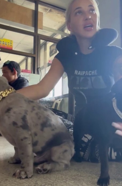 Настя Стецевьят оказалась с собаками на улице в Таиланде Настя Стецевьят оказалась с собаками на улице в Таиланде