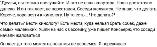 Евгения Хорошева просит совета у владельцев маленьких собак Евгения Хорошева просит совета у владельцев маленьких собак