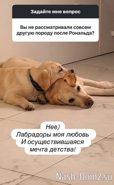 Подписчицы достают Наталью Варвину вопросами о детях Подписчицы достают Наталью Варвину вопросами о детях