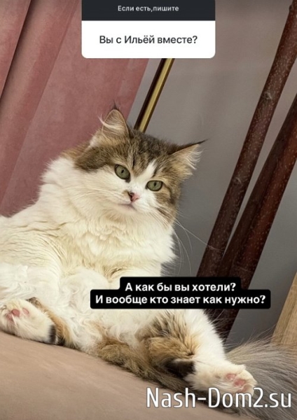 Елена Тепловодская: Он в Таиланде, я в Москве Елена Тепловодская: Он в Таиланде, я в Москве