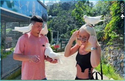 У одних – любовь, у других – голуби У одних – любовь, у других – голуби