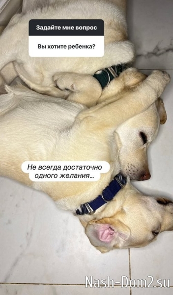 Подписчицы достают Наталью Варвину вопросами о детях Подписчицы достают Наталью Варвину вопросами о детях