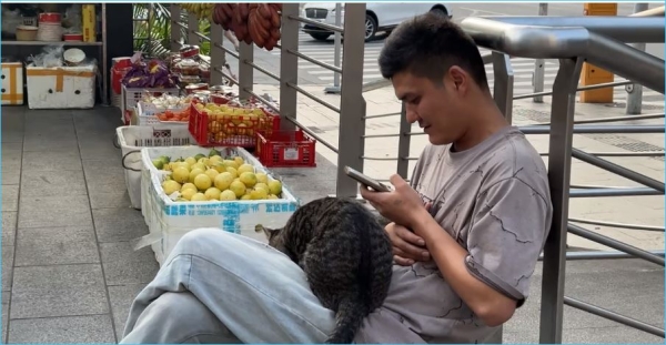 Красотам Хайнаня только мешают проблемы участников Дома 2 Красотам Хайнаня только мешают проблемы участников Дома 2