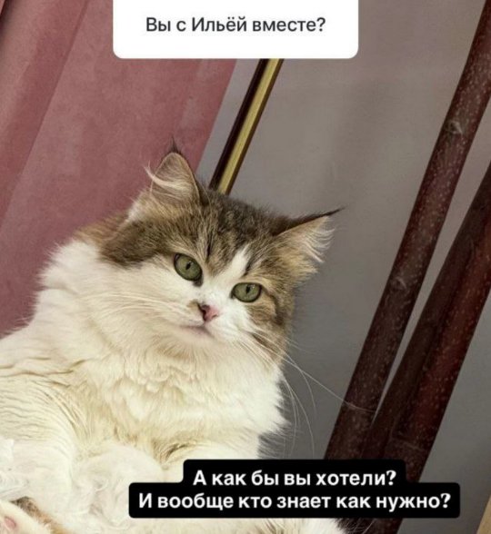 Елена Тепловодская ждёт от Ильи Яббарова подарок на 8-е марта Елена Тепловодская ждёт от Ильи Яббарова подарок на 8-е марта