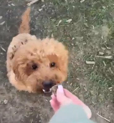 Катя Квашникова: Продолжаю бежать от своих чувств Катя Квашникова: Продолжаю бежать от своих чувств