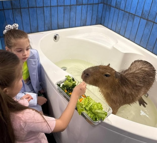 Последние новости дом 2 на сегодня 2 апреля 2026 Последние новости дом 2 на сегодня 2 апреля 2026