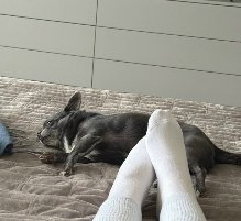 В сети появились слухи о том, что Ксения Нечаева покинула Дом 2 В сети появились слухи о том, что Ксения Нечаева покинула Дом 2