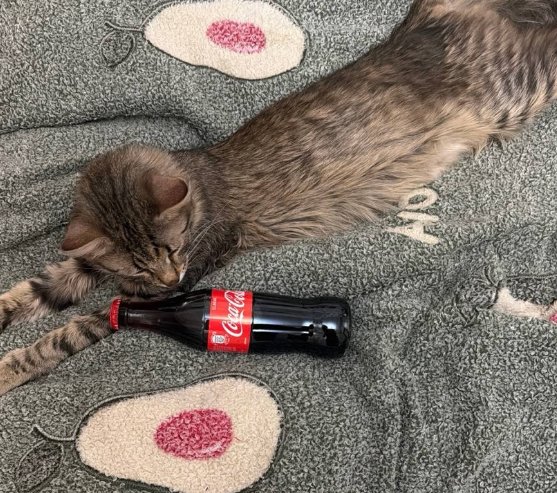 Ксения Нечаева повезла Стёпу Карпова знакомиться с родителями Ксения Нечаева повезла Стёпу Карпова знакомиться с родителями