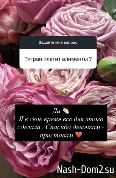 Юлия Колисниченко возлагает слишком большие надежды на Волгина? Юлия Колисниченко возлагает слишком большие надежды на Волгина?