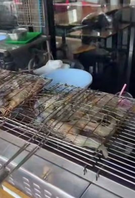 Элина Рахимова переживает за отёки и лишний вес Элина Рахимова переживает за отёки и лишний вес