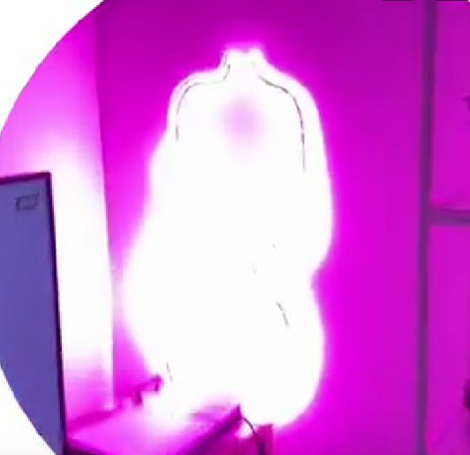 Последние новости дом 2 на сегодня 7 апреля 2026 Последние новости дом 2 на сегодня 7 апреля 2026