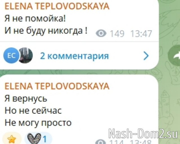 Елена Тепловодская: Я не помойка! И не буду никогда! Елена Тепловодская: Я не помойка! И не буду никогда!