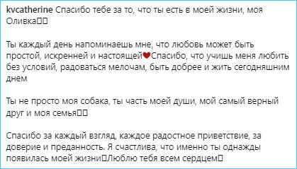 Екатерина Квашникова нашла настоящую любовь в своей собаке Оливке Екатерина Квашникова нашла настоящую любовь в своей собаке Оливке