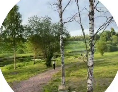 Елена Тепловодская отдыхает в Карелии Елена Тепловодская отдыхает в Карелии