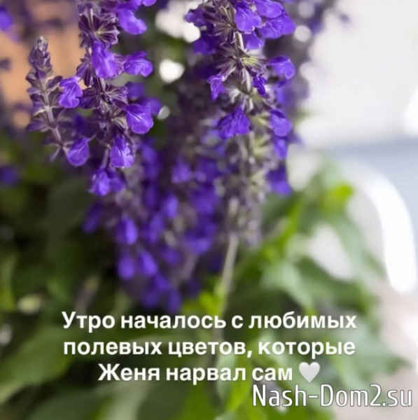 Антон Беккужев раскрыл нюансы миссии Хорошевых в Китае Антон Беккужев раскрыл нюансы миссии Хорошевых в Китае