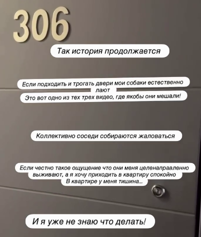 Настя Стецевьят боится оказаться на улице из-за своих собак Настя Стецевьят боится оказаться на улице из-за своих собак