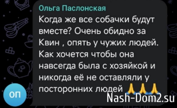 Елена Тепловодская: Летим домой! Елена Тепловодская: Летим домой!