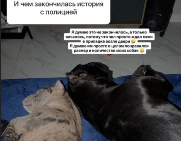 Соседи Анастасии Стецевьят вызвали полицию Соседи Анастасии Стецевьят вызвали полицию