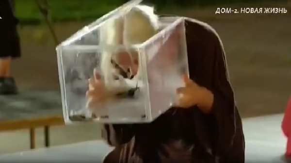 Ирина Мациевски поймала паническую атаку, когда на неё сыпали тараканов Ирина Мациевски поймала паническую атаку, когда на неё сыпали тараканов