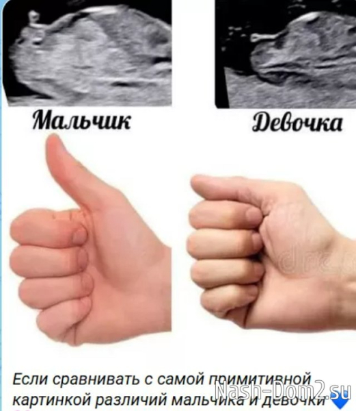 Виктория Салибекова пытается вычислить пол будущего ребёнка Виктория Салибекова пытается вычислить пол будущего ребёнка