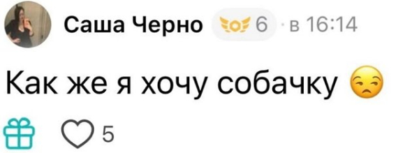 Александра Черно: Мужчины, я здесь из-за донатов Александра Черно: Мужчины, я здесь из-за донатов