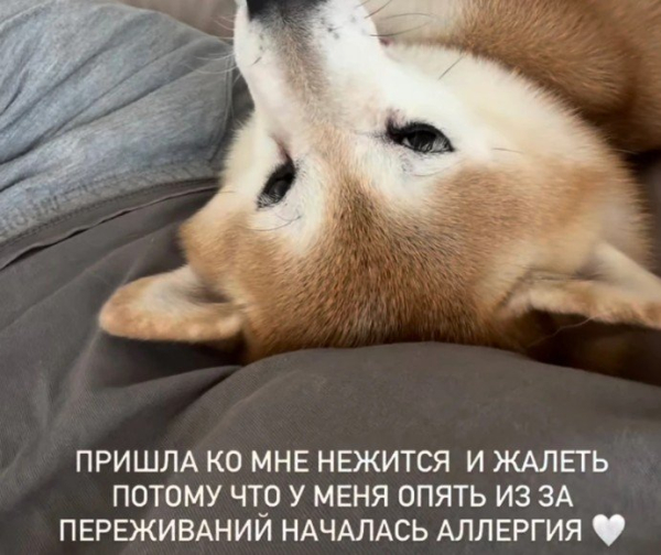 Анна Седокова пожаловалась на проблемы со здоровьем Анна Седокова пожаловалась на проблемы со здоровьем