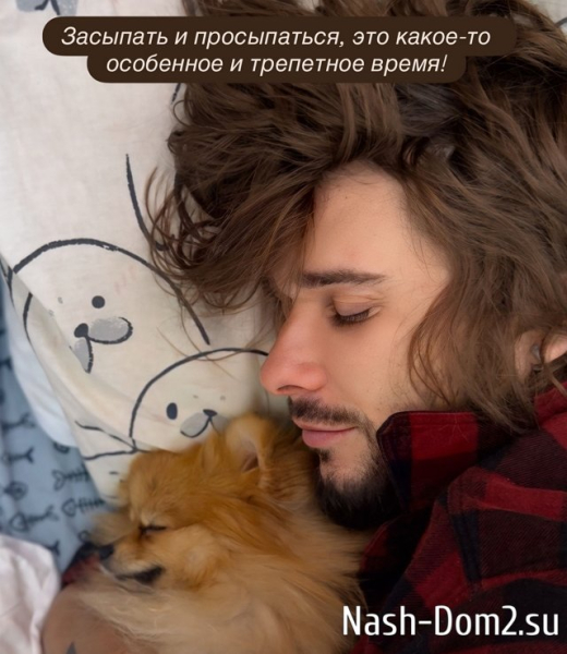 Евгения Ромашов не может уснуть без собаки Хорошевых Евгения Ромашов не может уснуть без собаки Хорошевых