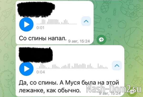 Артём Герасимов: Женёк, ещё есть вопросы, как и что было? Артём Герасимов: Женёк, ещё есть вопросы, как и что было?