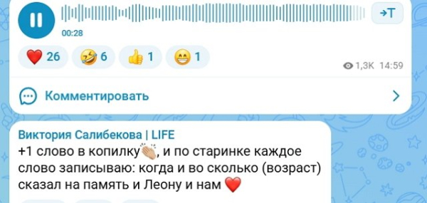 Виктория Салибекова подсчитывает сколько слов говорит Леон Виктория Салибекова подсчитывает сколько слов говорит Леон