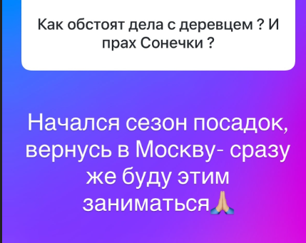 Ольга Орлова опровергла слухи про уход с проекта Дом 2 Ольга Орлова опровергла слухи про уход с проекта Дом 2