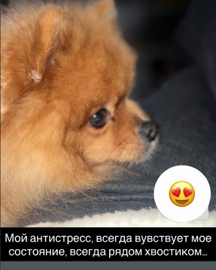 У Нади Ермаковой случилась новая неприятность У Нади Ермаковой случилась новая неприятность