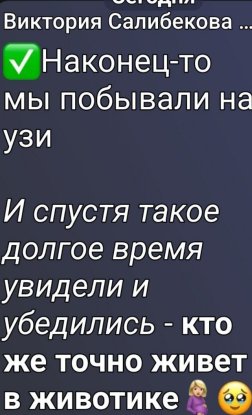 Салибековы всё ещё сомневаются, что у них будет дочь Салибековы всё ещё сомневаются, что у них будет дочь