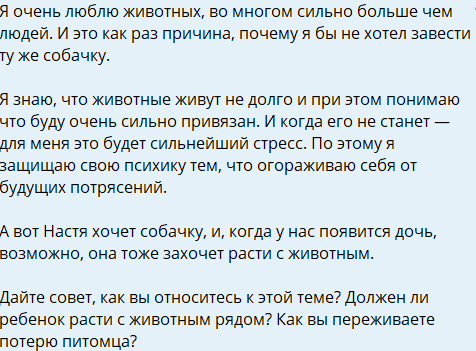 Евгений Ромашов объяснил, почему не хочет заводить питомца Евгений Ромашов объяснил, почему не хочет заводить питомца