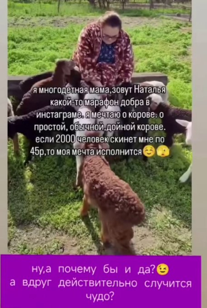 Подписчица Ольги Орловой получила от неё в подарок корову Подписчица Ольги Орловой получила от неё в подарок корову